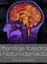 OFN_hjerne