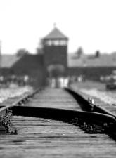 birkenau