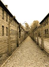 auschwitz