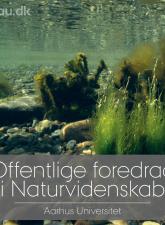 OFN_07_10
