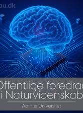 OFN_18_11