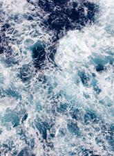 havet