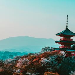 pexels-japan