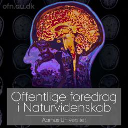 OFN_hjerne