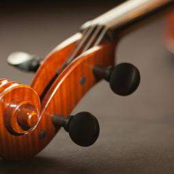 violin