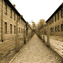 auschwitz