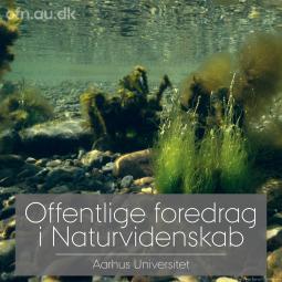 OFN_07_10