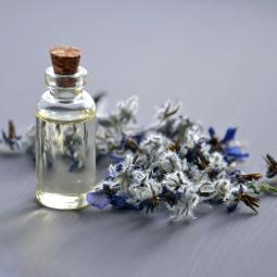 parfume