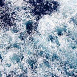 havet